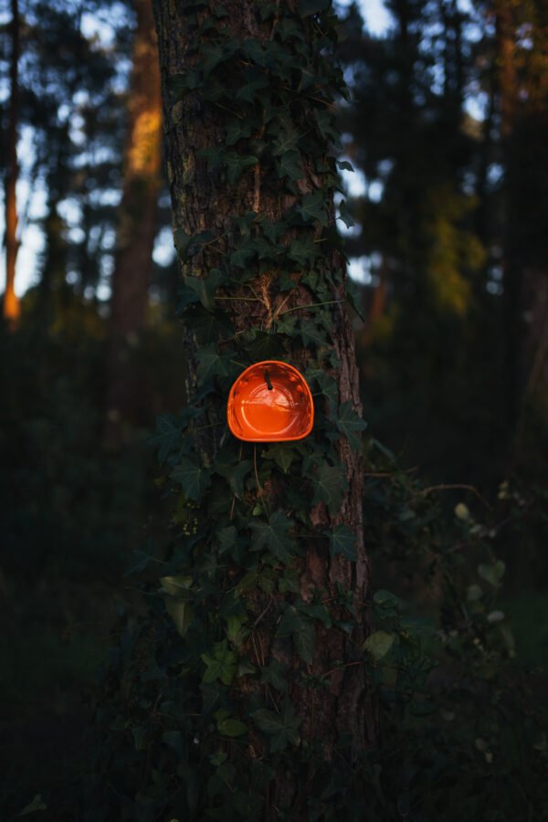 DSC00566 Murale porte bougie orange