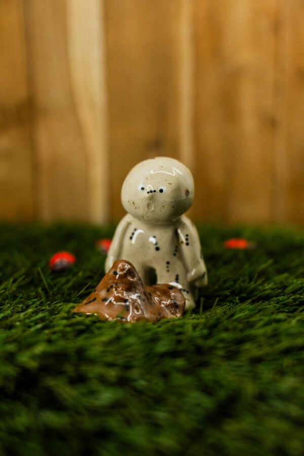 Photo-1 ACHILLE - Thème 25/31 : INSECTE