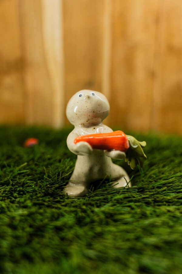 Photo-100 FRANÇOISE- Thème 7/31 : JARDINAGE