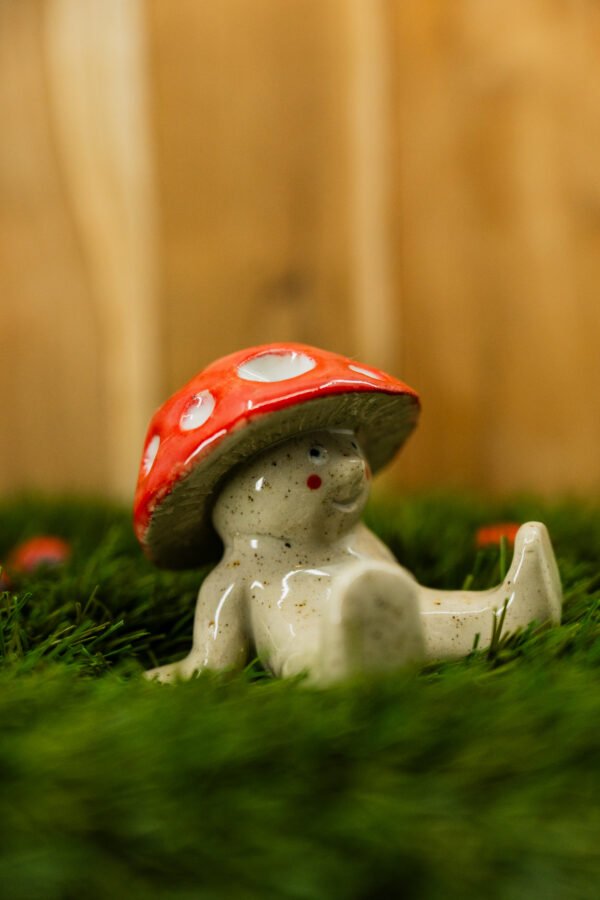 Photo-15 JACQUES - Thème 27/31 : CHAMPIGNON