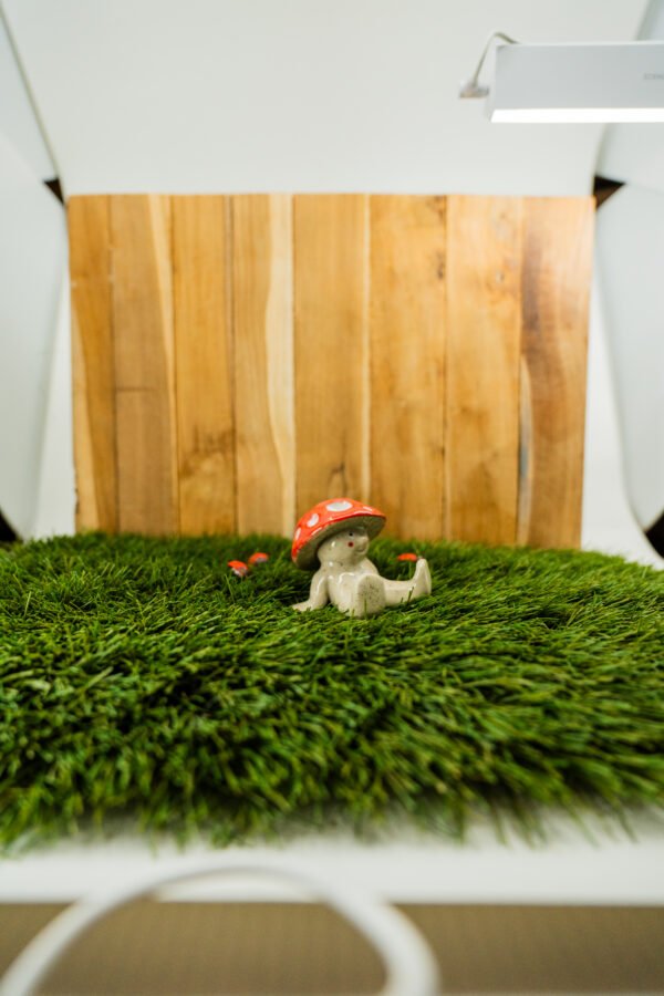 Photo-16 JACQUES - Thème 27/31 : CHAMPIGNON