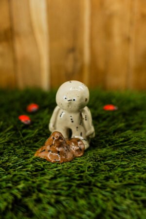 ACHILLE - Thème 25/31 : INSECTE