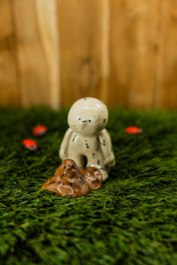 Photo-2 ACHILLE - Thème 25/31 : INSECTE