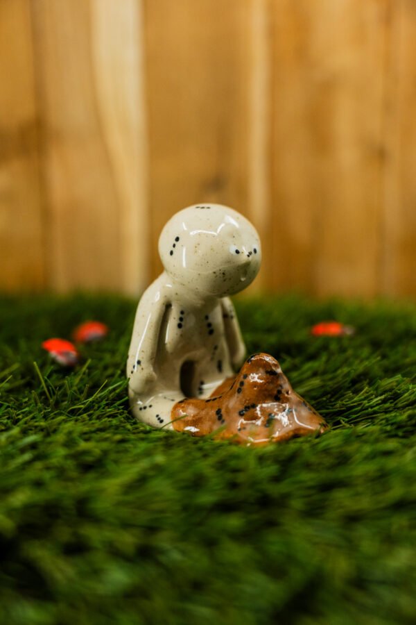 Photo-3 ACHILLE - Thème 25/31 : INSECTE