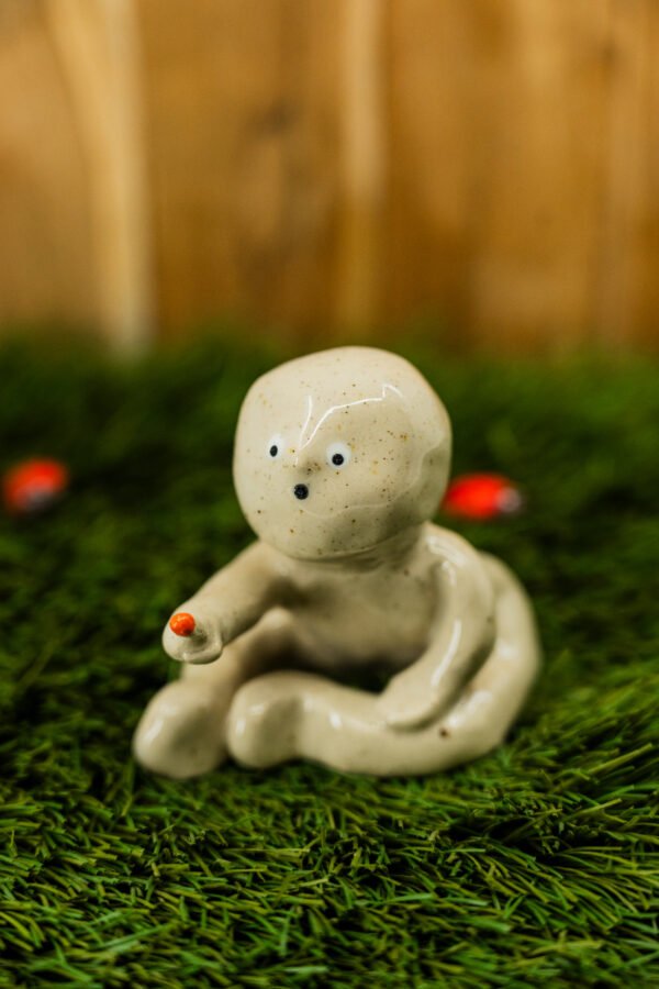 Photo-35 ALBERT - Thème 3/31 : UNIVERS