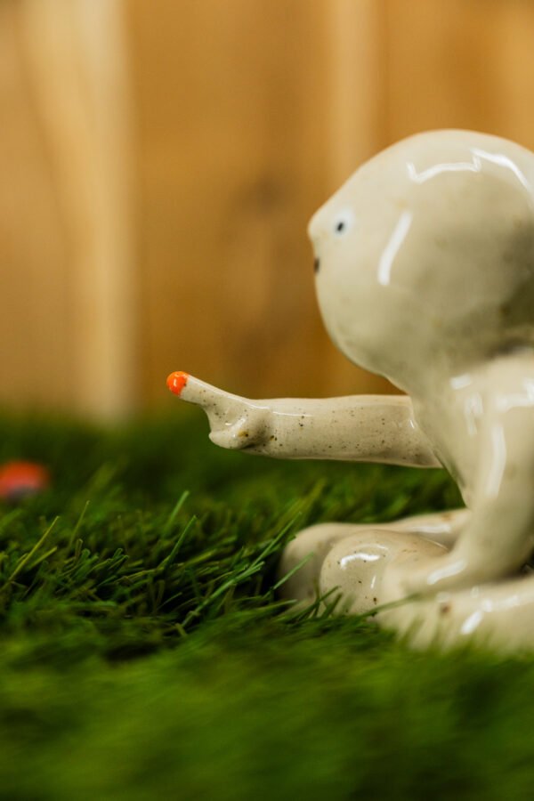 Photo-36 ALBERT - Thème 3/31 : UNIVERS