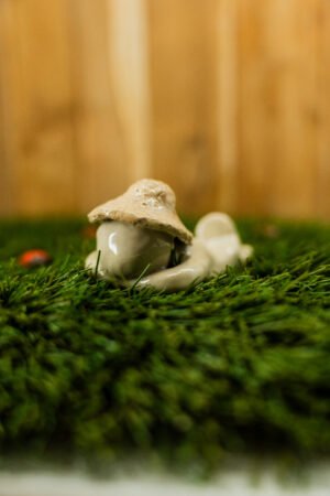 Photo-38 MARTIAL - Thème 18/31 : VACANCES