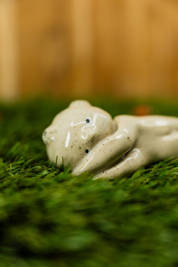 Photo-60 LUCIENNE - Thème 8/31 : LUNE