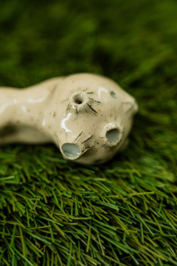 Photo-64 LUCIENNE - Thème 8/31 : LUNE