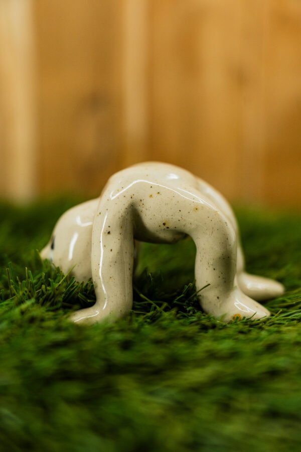 Photo-72 PASCAL - Thème 31/31 : CIRQUE