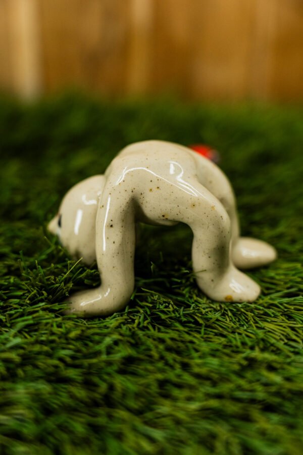 Photo-73 PASCAL - Thème 31/31 : CIRQUE