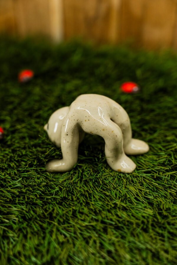 Photo-74 PASCAL - Thème 31/31 : CIRQUE