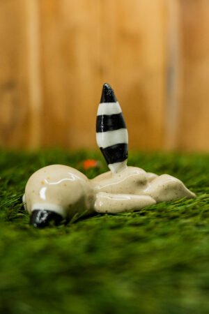 DENISE - Thème 15/31 : RATON LAVEUR