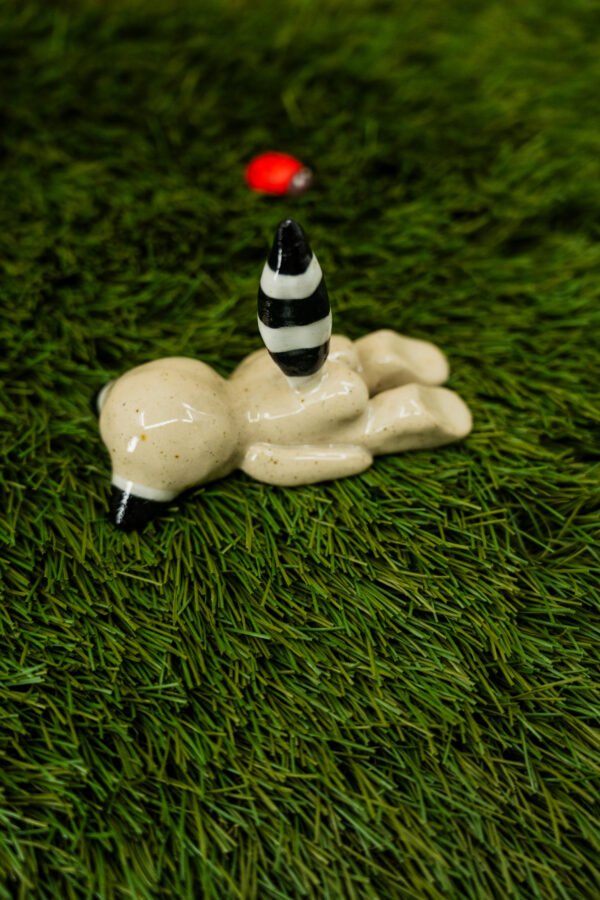 DENISE - Thème 15/31 : RATON LAVEUR