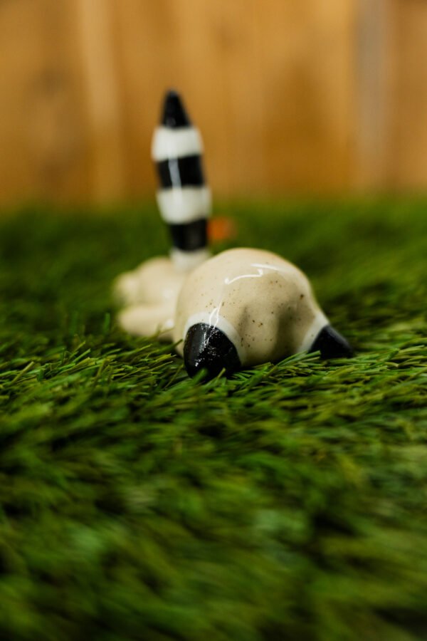 DENISE - Thème 15/31 : RATON LAVEUR