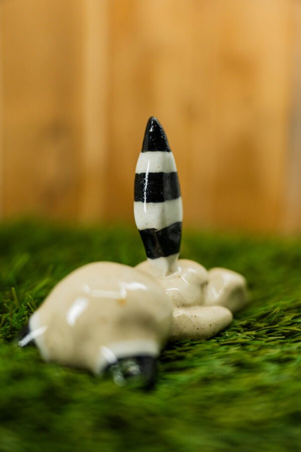 DENISE - Thème 15/31 : RATON LAVEUR