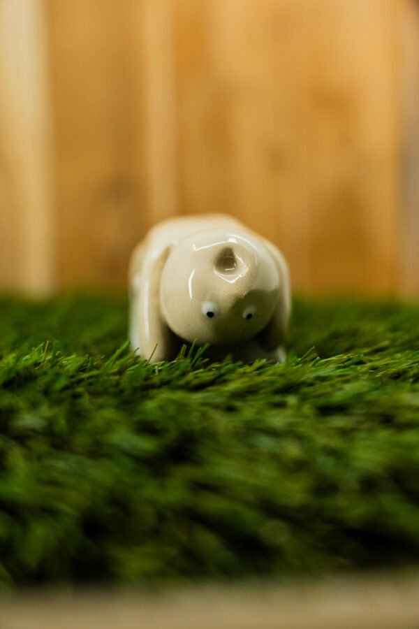 DENIS - Thème 19/31 : JEU DE RÔLE